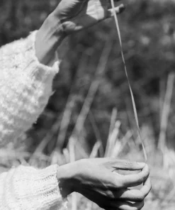 Bjork & Berries Hand Cream - Herbalist