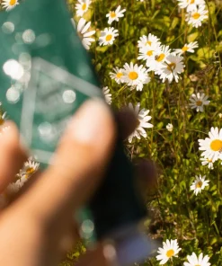 Bjork & Berries Hand Cream - Botanist