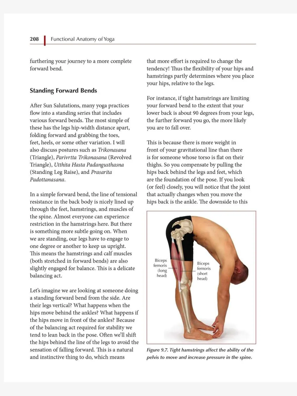 Functional Anatomy of Yoga