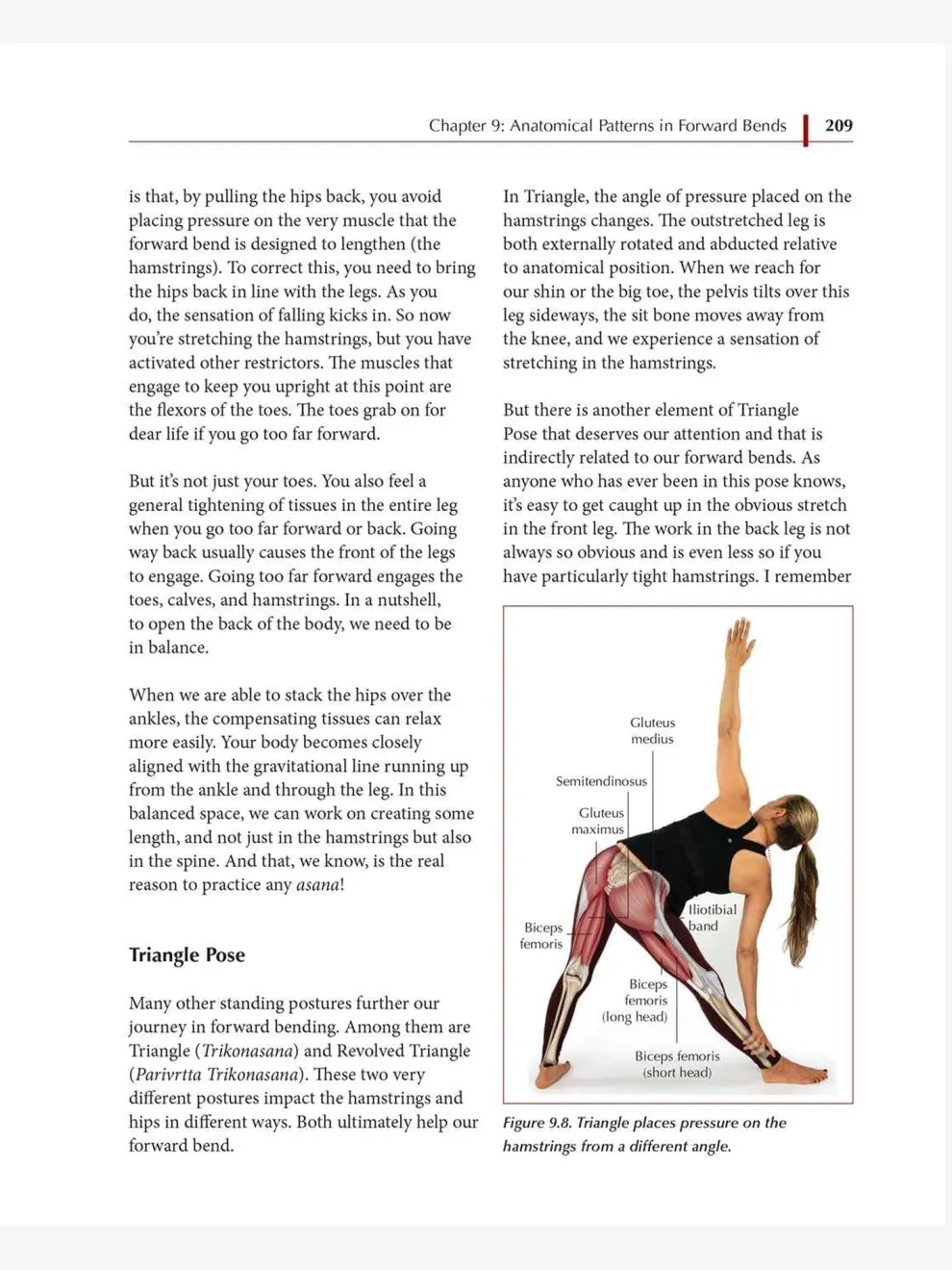 Functional Anatomy of Yoga