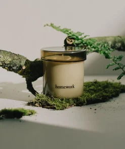 Homework Regular Candle - Water