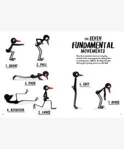 How to be a Fit Bird