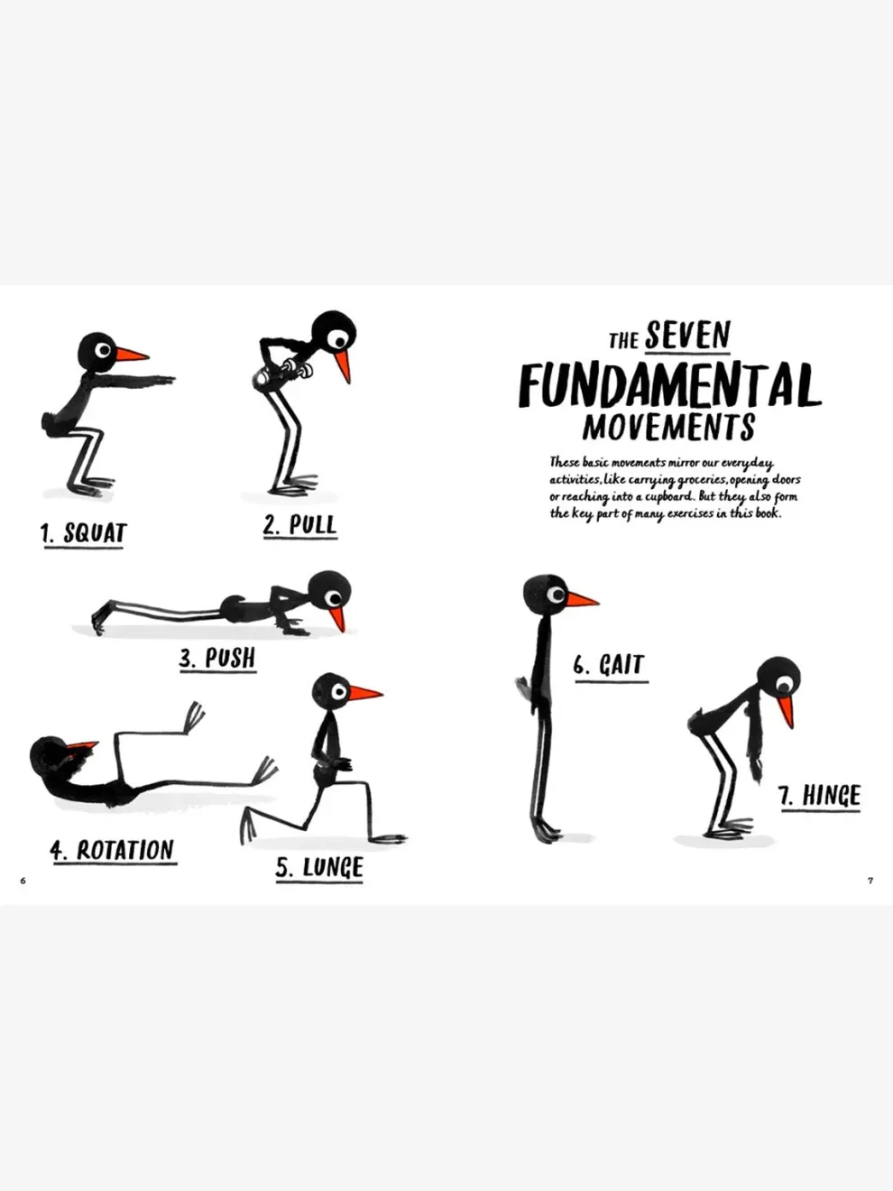 How to be a Fit Bird