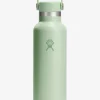 Hydro Flask 621ml (21oz) Standard Mouth Bottle with Flex Cap - Aloe