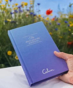 Intelligent Change The Five Minute Journal - Calm Edition