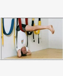 JivanaProps Pelvic Swing With Wall Kit