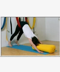 JivanaProps Pelvic Swing