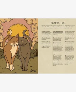 Mystic Kitty - A cat's guide to meditaion