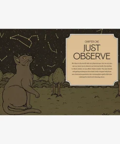 Mystic Kitty - A cat's guide to meditaion