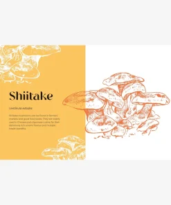 Nature's Apothecary: Harness the healing power of herbs, mushrooms and other adaptogens