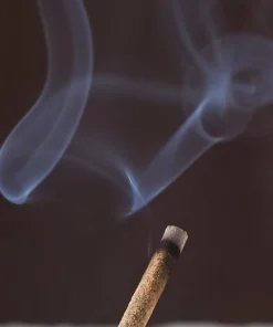 Om Nagchampa Incense - 40g