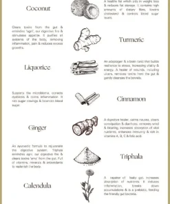 Palm of Feronia X Lady Apothecary Herbal Healing - Helios Golden Milk