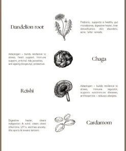 Palm of Feronia X Lady Apothcary Herbal Healing - Roots Café