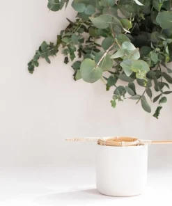 Parigotte Bamboo Tea Strainer