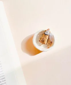 Parigotte Incense Cones Set - Palo Santo