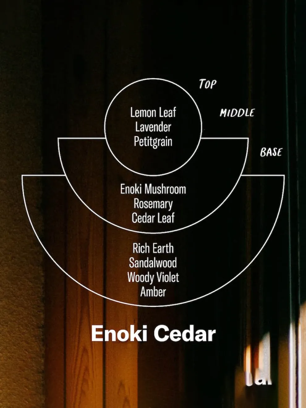 P.F. Candle Co. 7.2oz Alchemy Candle - Enoki Cedar