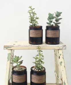 P.F. Candle Co. 7.2oz Soy Candle - Ojai Lavender