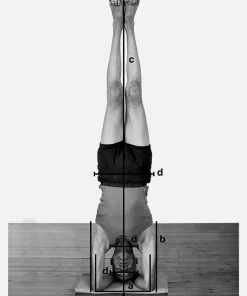 Props for Yoga Volume 3: Inverted Asanas
