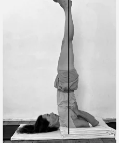 Props for Yoga Volume 3: Inverted Asanas