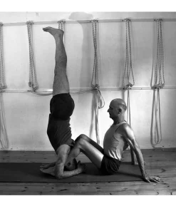 Props for Yoga Volume 3: Inverted Asanas