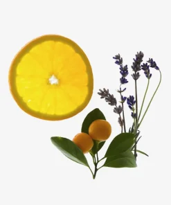 Spritz Wellness Atmosphere Mist 100ml - Relax