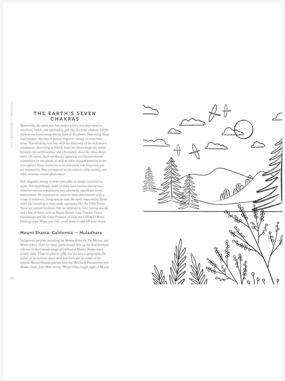 The Grounding Companion: Tap Into the Healing Power of Nature for Health, Longevity, and Vitality