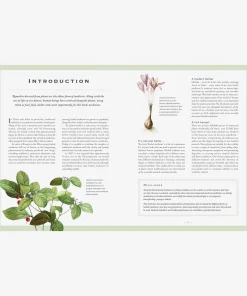 The Healing Herbal : Ancient and Modern Medicinal Plants