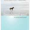 The Untethered Soul
